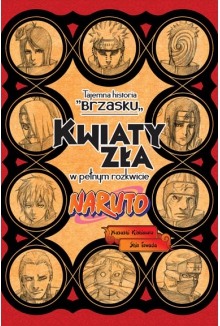 Naruto: Tajemna historia Brzasku