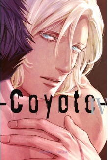Coyote