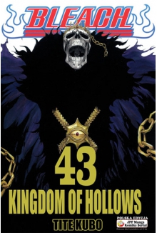 Bleach #43