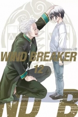 Wind Breaker