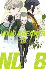 Wind Breaker