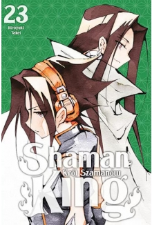 Shaman King