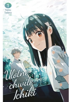 Ulotne chwile Ichiki