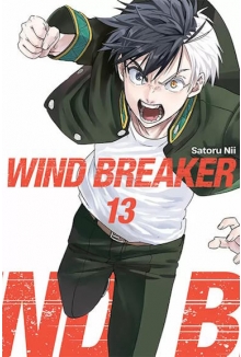 Wind Breaker