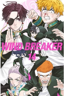 Wind Breaker