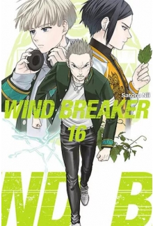 Wind Breaker