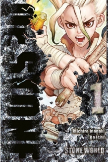 Dr. Stone