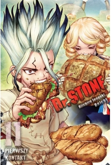 Dr. Stone