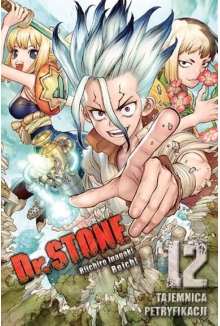 Dr. Stone