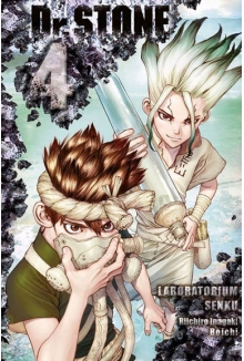 Dr. Stone