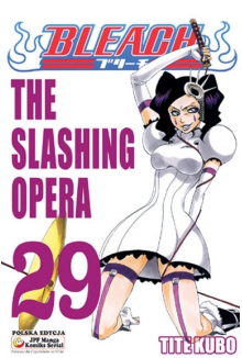 Bleach #29